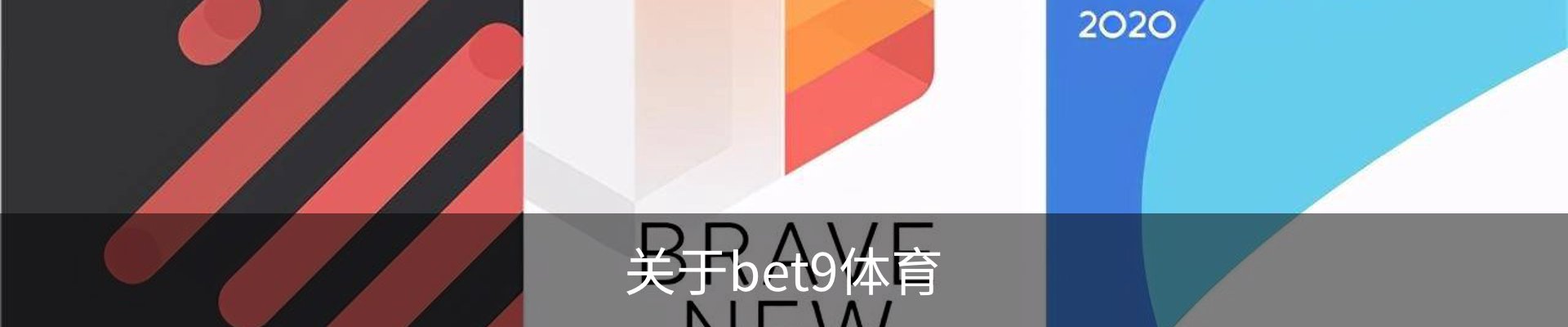 关于bet9体育