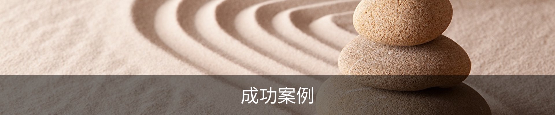 成功案例